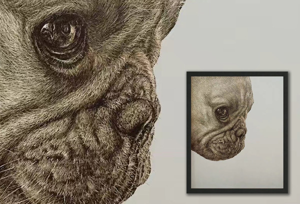 Scratchboard Dog (Head) Portrait