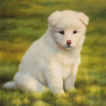 Dog Photo to Oil Painting