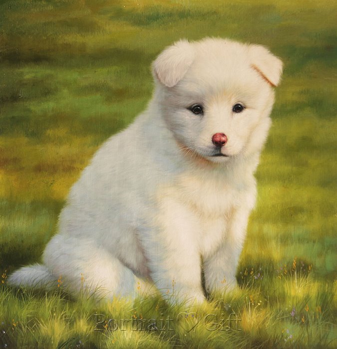 Dog Photo to Oil Painting