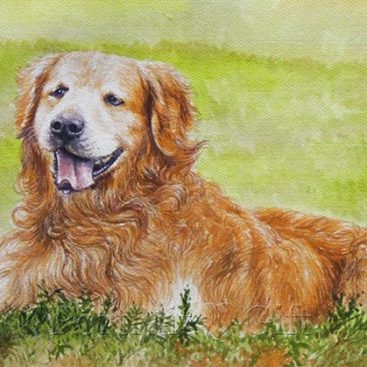Dog Watercolor Portrait
