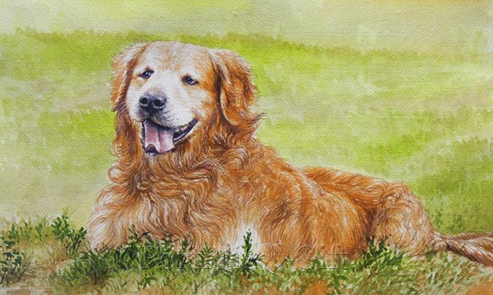 Dog Watercolor Portrait