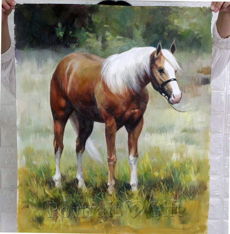 A Brown and White Horse 2