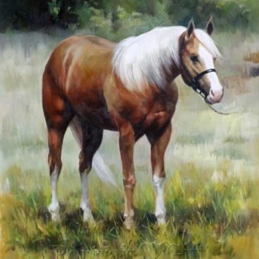 A Brown and White Horse