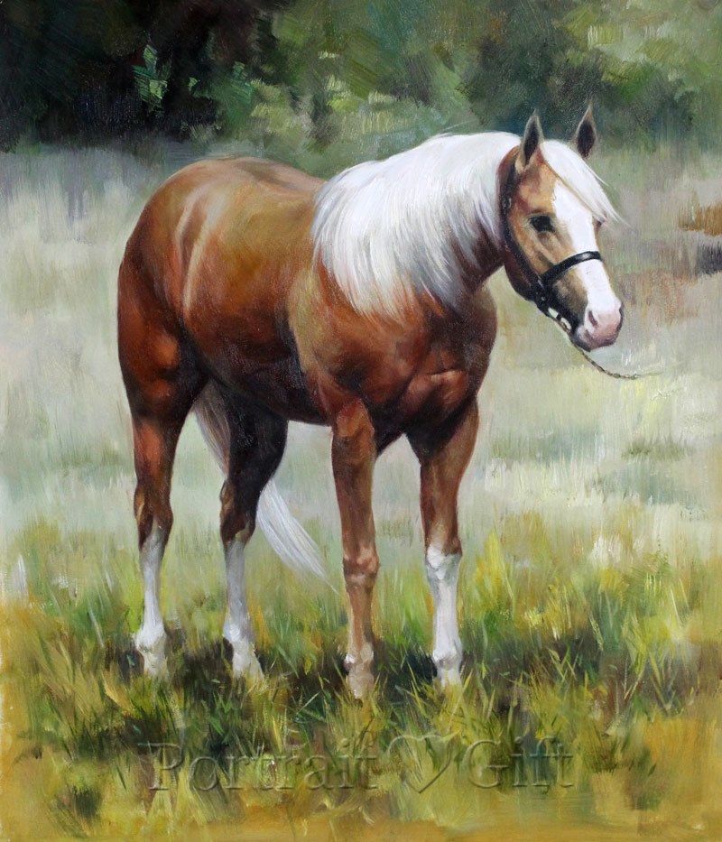 A Brown and White Horse