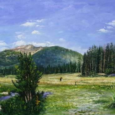 Countryside Scenery near Mountains