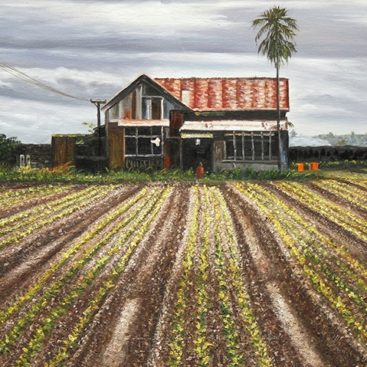 Cabin near the Farmland