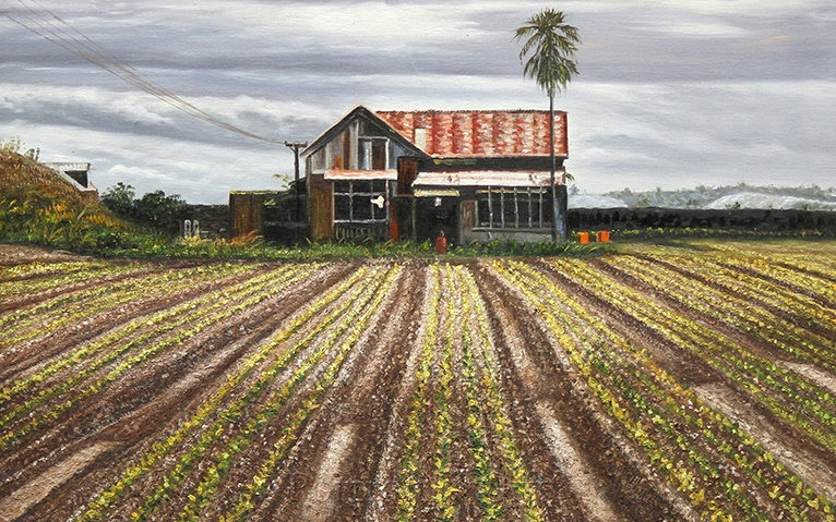 Cabin near the Farmland