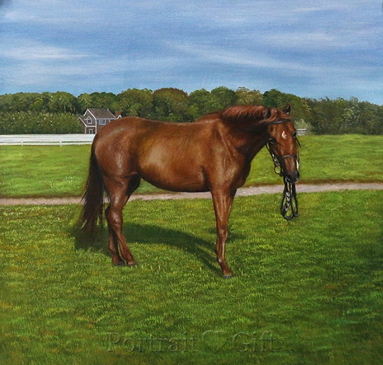 Horse on the Grass