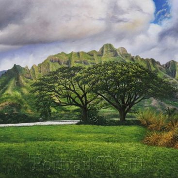 Spectacular Landscape