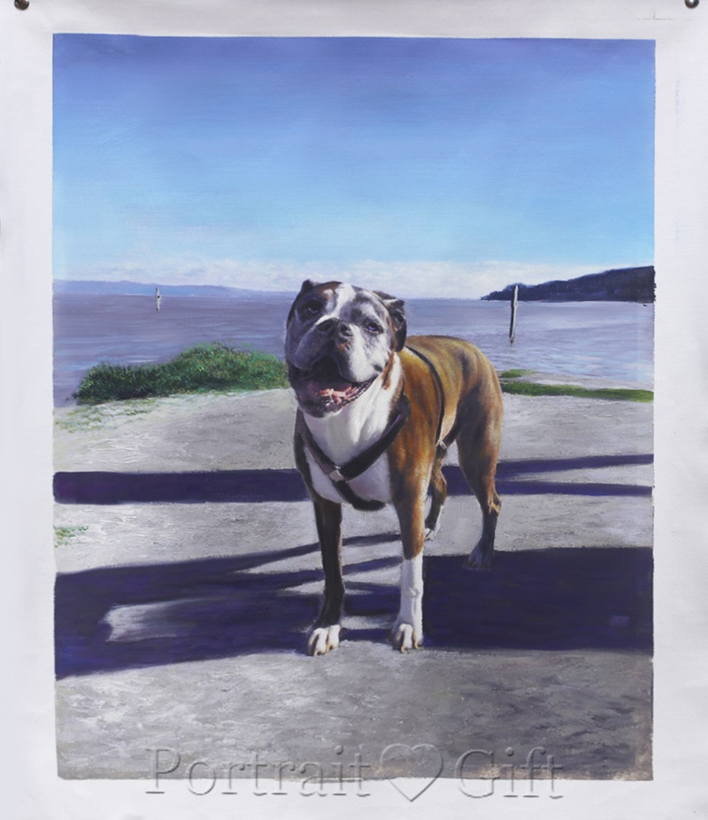 Dog Playing Near the Seaside 2