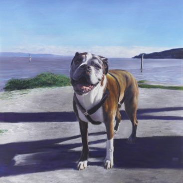 Dog Playing Near the Seaside