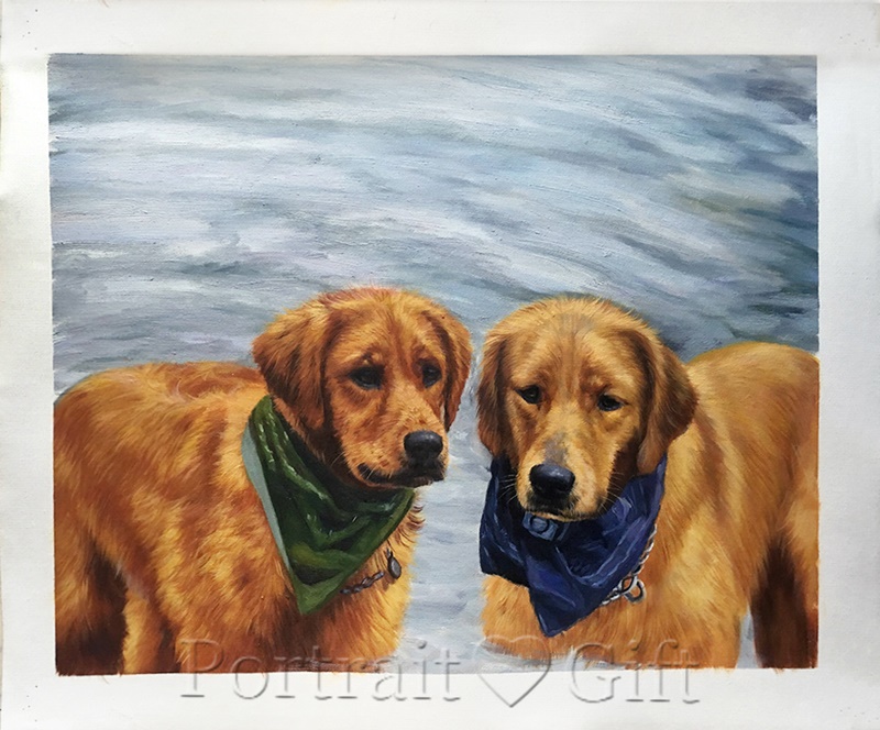 Two Golden Retriever Portrait 2
