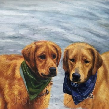 Two Golden Retriever Portrait