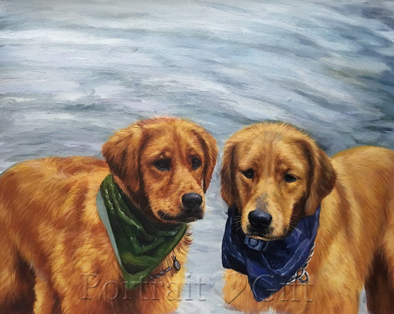 Two Golden Retriever Portrait