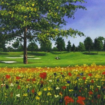 Flower Field in Spring