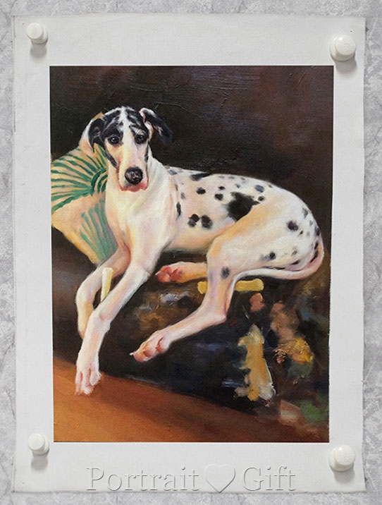 Dog on the Brown Sofa 2