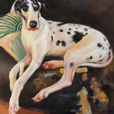 Dog on the Brown Sofa