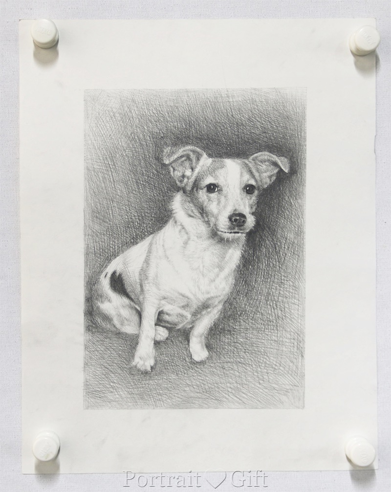 Dog Pencil Sketch Gift 2