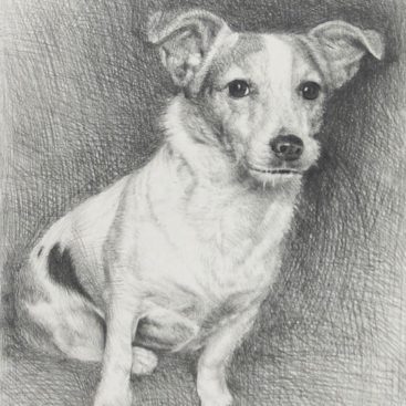 Dog Pencil Sketch Gift