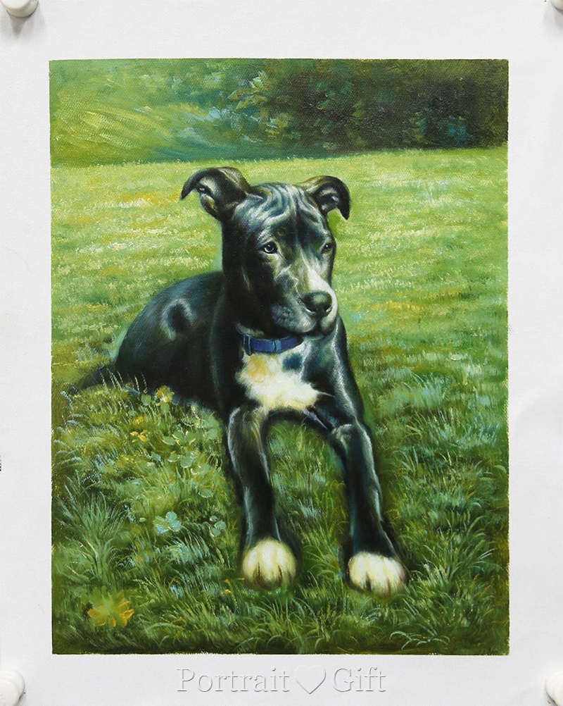 Black Dog Sitting on the Grass 2
