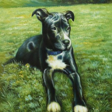 Black Dog Sitting on the Grass