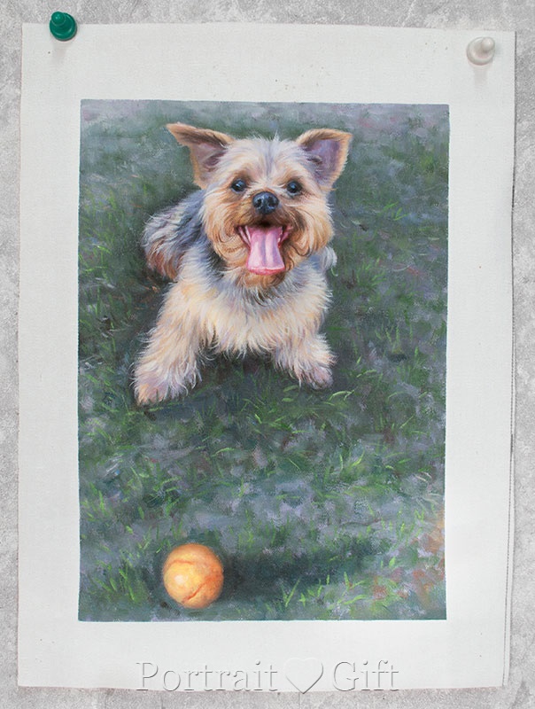 Dog Playing the Orange Ball 2