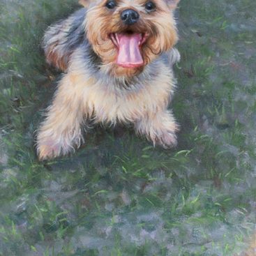 Dog Playing the Orange Ball