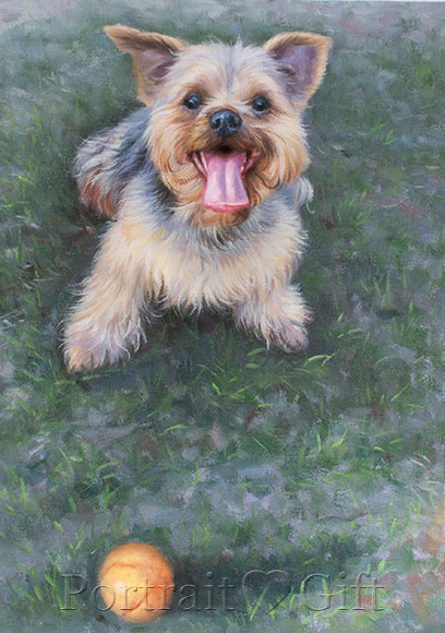 Dog Playing the Orange Ball