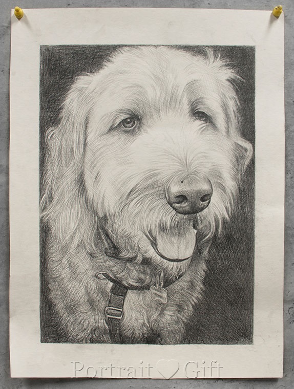 Dog with Cute Nose 2