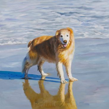 Golden Retriever Playing on the Beach