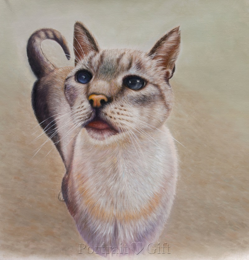 Cat Waiting for the Owner